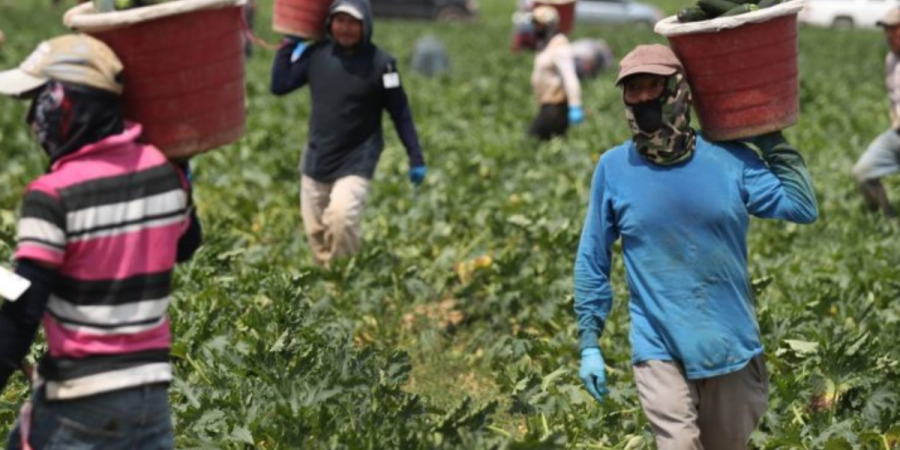 Κύπρος: Καθηγητής ιδιωτικού Πανεπιστημίου κακοποιούσε εργάτες - Ζούσαν σε τρώγλη - Media