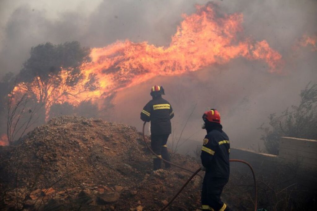 Αλεξανδρούπολη: Αναζωπυρώθηκε ξανά η φωτιά που κατακαίει δασική έκταση - Media