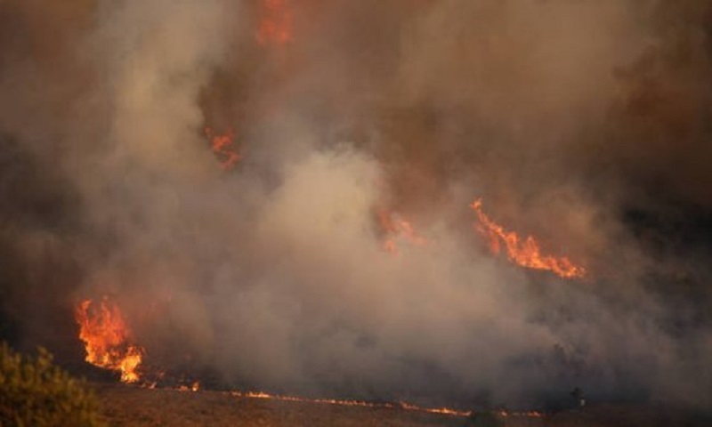 Μήνυμα από το 112 σε κατοίκους της Κερατέας: Εκκενώστε τα σπίτια σας - Media