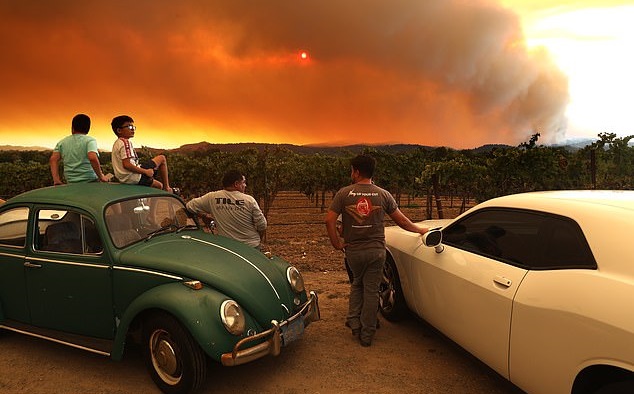 Οι τεράστιες πυρκαγιές στην Καλιφόρνια κατέστρεψαν και το περίφημο Καλιφορνέζικο κρασί – Θα βρωμάει κάπνα για χρόνια  - Media