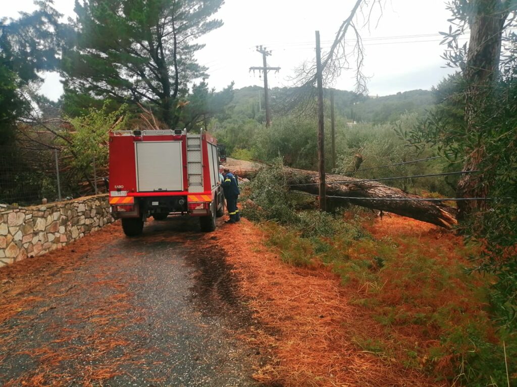 Σφοδρή κακοκαιρία στην Κέρκυρα: Πτώσεις δέντρων και διακοπές ηλεκτροδότησης - Κλειστά σχολεία (Video) - Media