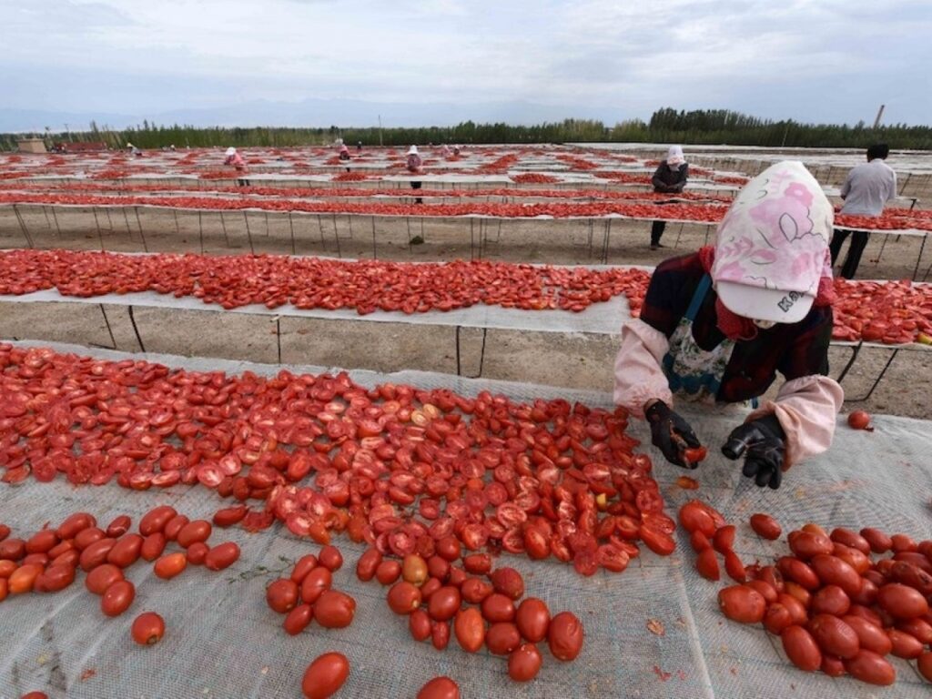 Ο Τραμπ το ξανασκέφτεται για επιβολή δασμών σε ντομάτες και βαμβάκι από την Κίνα - Media