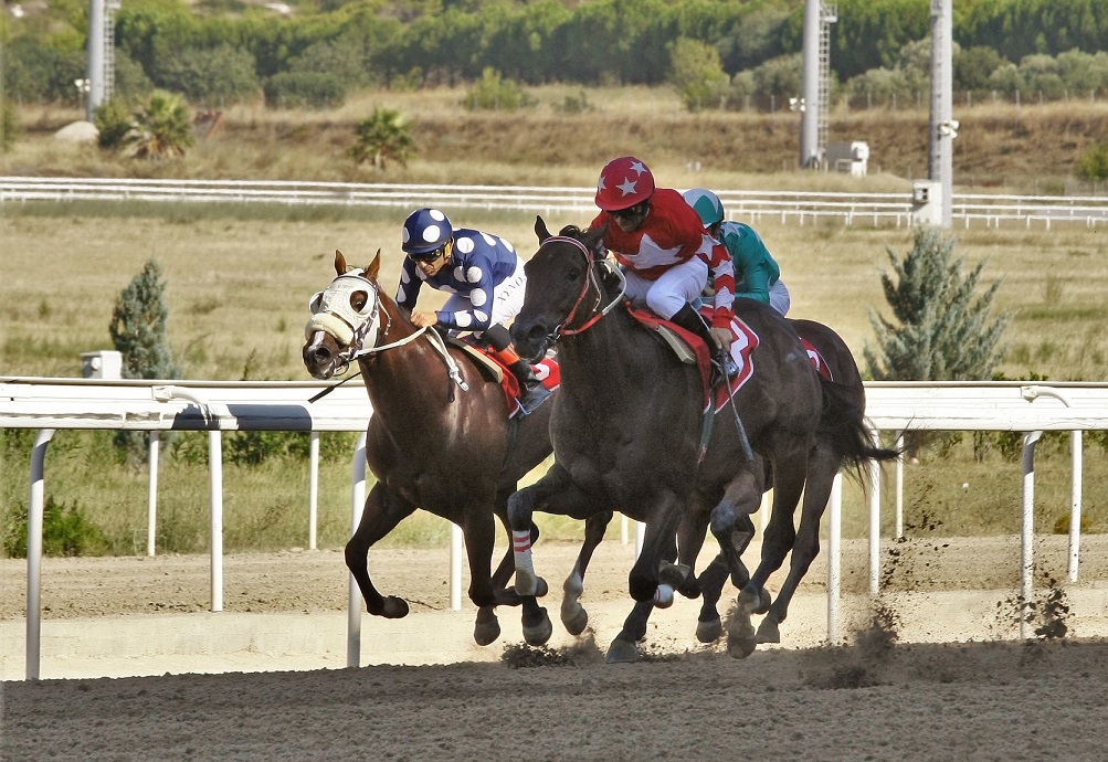 Ο Δήμος Αθηναίων αναβαθμίζει ενεργειακά τις σχολικές του μονάδες (photos) - Media