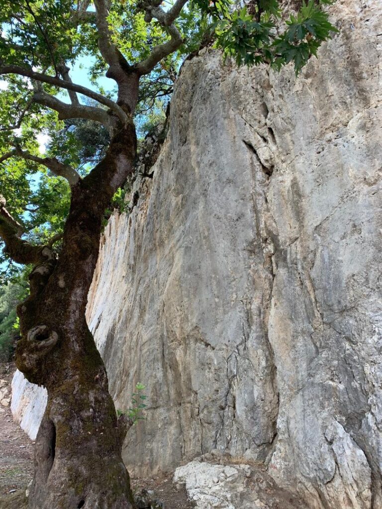 Η βροχή που δημιούργησε ολόκληρο αναρριχητικό πεδίο στα Άγραφα - Media