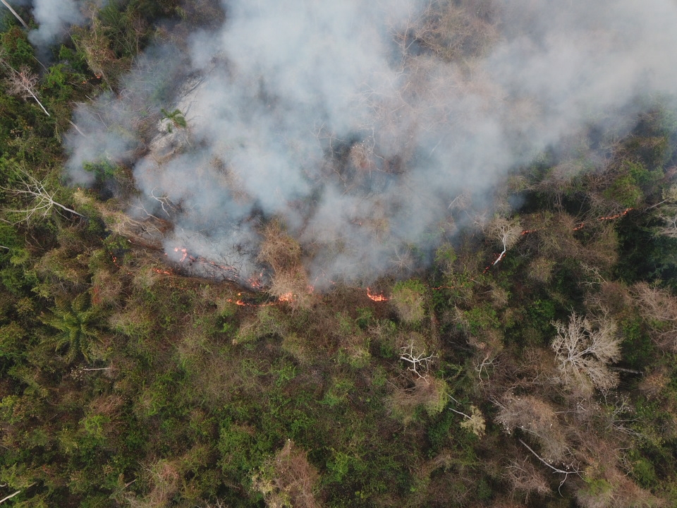 Βολιβία-Aμαζόνιος: Σε κατάσταση εθνικής καταστροφής, στάχτη πάνω από 2 εκατ. εκτάρια (Photos/Videos) - Media