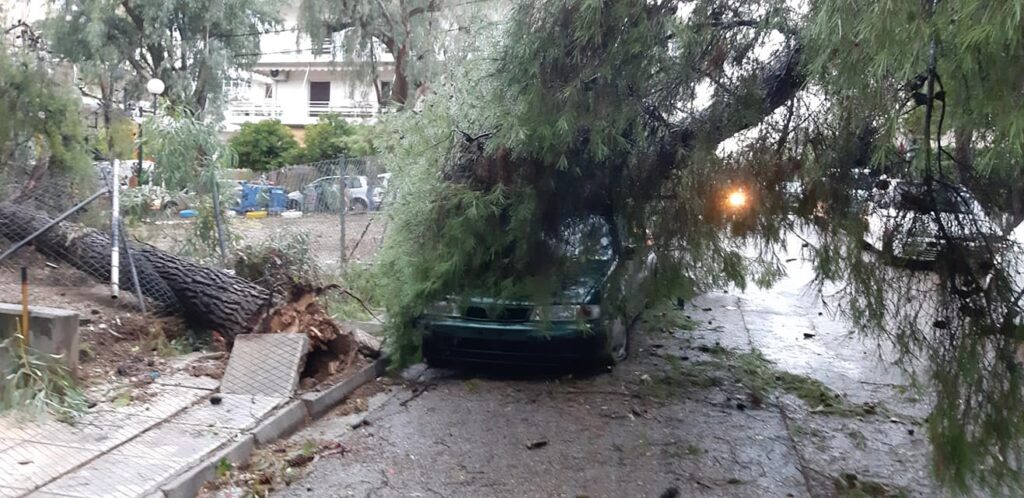 Νέο Ηράκλειο: Η κακοκαιρία έριξε δέντρα στη γραμμή ΗΣΑΠ, κατέστρεψε οχήματα, ξήλωσε ρολά και στέγαστρα (Photos/Videos)    - Media