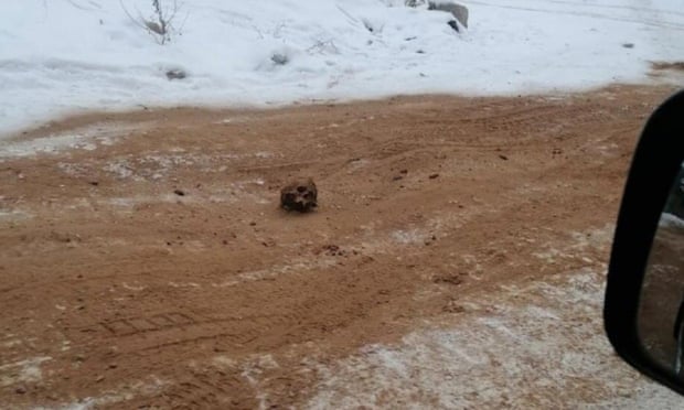 Σιβηρία: Αυτοκινητόδρομος γέμισε με ανθρώπινα οστά – Η εξήγηση (Photos) - Media