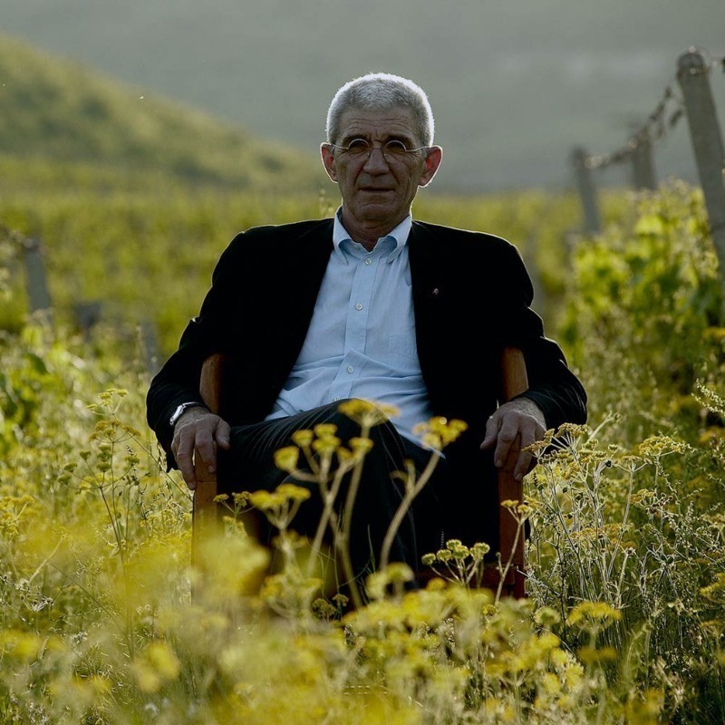 «60 χρόνια τρύγος...»: Το βιβλίο του για το κρασί παρουσίασε ο Γ. Μπουτάρης - Media