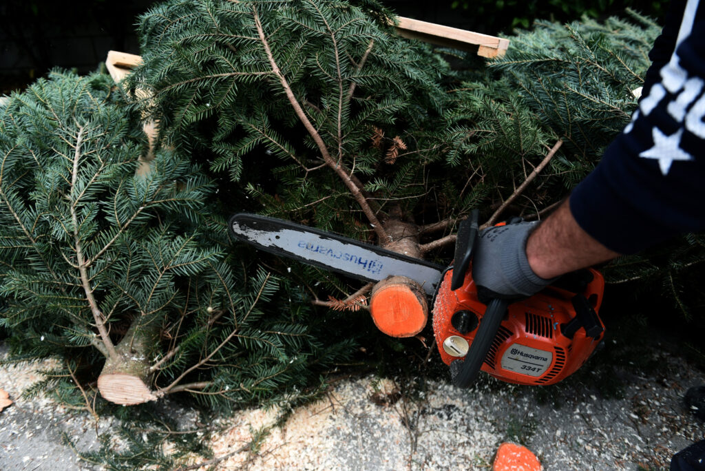 Το lockdown καθυστερεί την κοπή των... ελάτων για τα Χριστούγεννα (Video) - Media