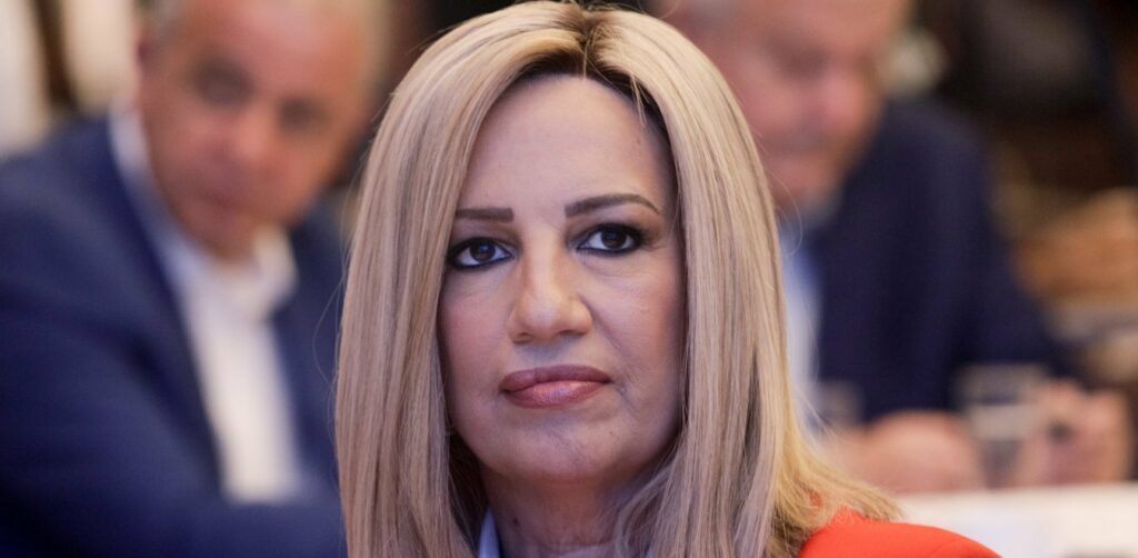 Φ. Γεννηματά: Στη Θεσσαλονίκη αναδεικνύονται οι ευθύνες της κυβέρνησης - Media