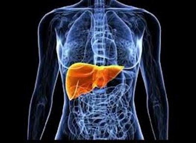 Ήπαρ: Επτά τρόφιμα που το «θωρακίζουν» - Media