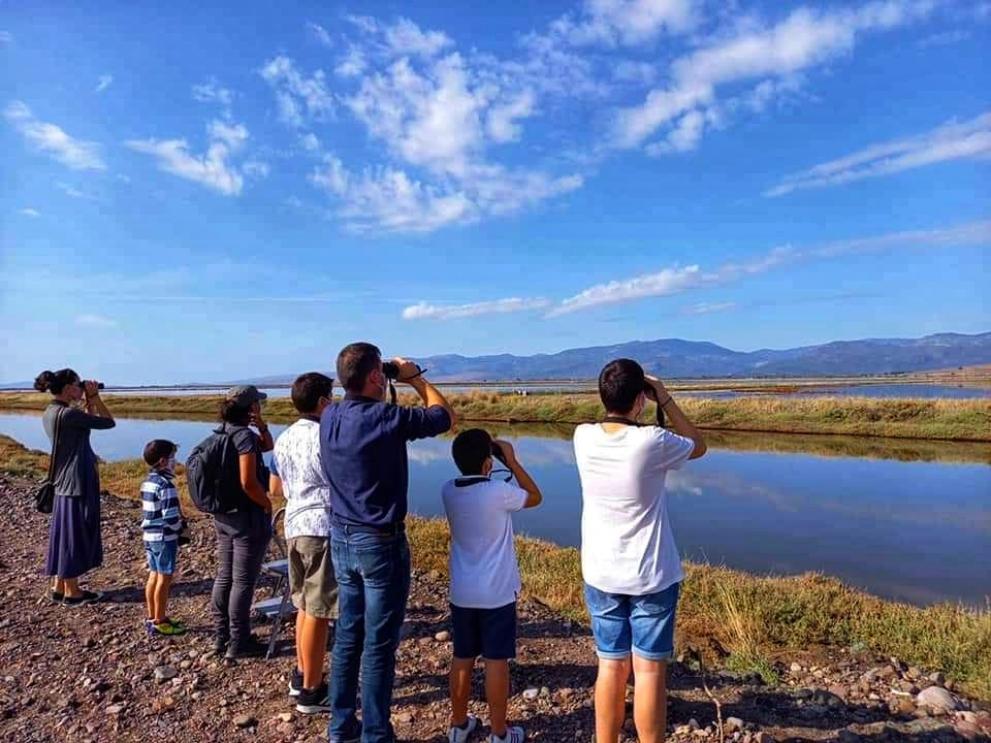 Η Λέσβος αγάπησε ξανά τα Φλαμίνγκο - Εντυπωσιακή συμμετοχή σε ορνιθοπαρατήρηση στην Καλλονή (Photos) - Media