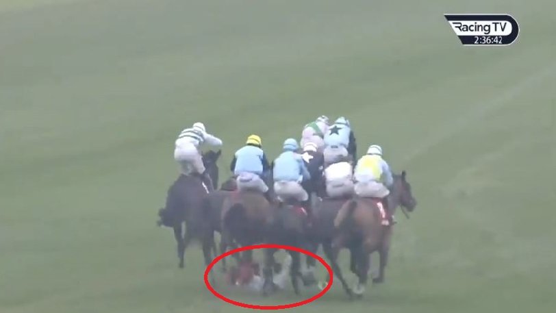 Τρομακτική πτώση σε αγώνα ιπποδρόμου –Τζόκεϊ επεσε κάτω και τον πάτησαν τα άλογα (Video) - Media