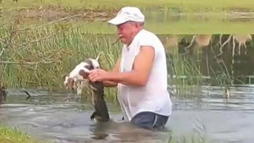 Βούτηξε με το πούρο στο στόμα στο ποτάμι για να σώσει τον σκύλο του που τον έτρωγε ένας αλιγάτορας (Video) - Media