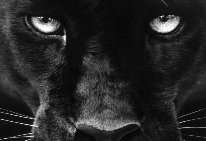 «Storm of Hope» Η νέα έκθεση του Ρόμπερτ Λόνγκο στο Λος Άντζελες - Media