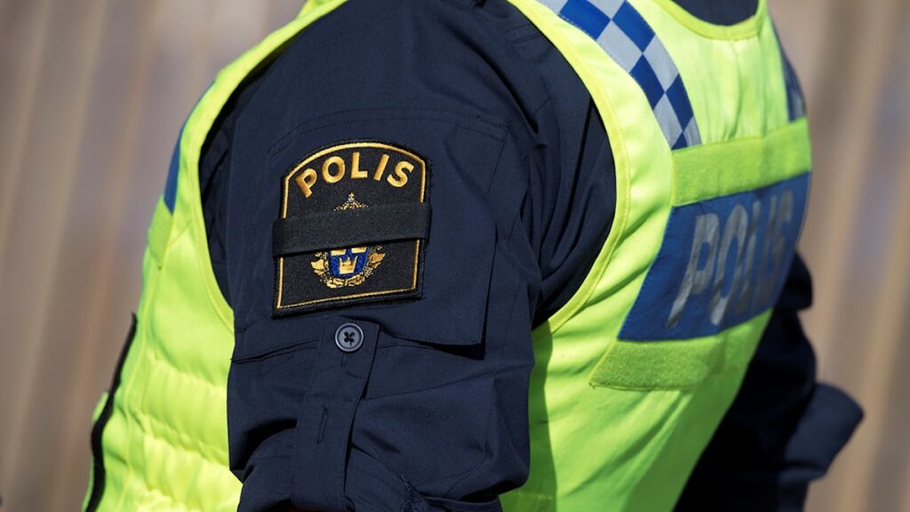 Ανατροπή στη Σουηδία: Ελεύθερη η 70χρονη που φέρεται να κρατούσε αιχμάλωτο τον γιο της - Media