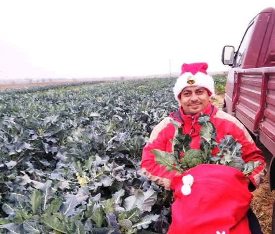Κιλκίς: Αγρότης παίζει Χριστουγεννιάτικα τραγούδια στα... μπρόκολα και τα κουνουπίδια του! (Photos) - Media