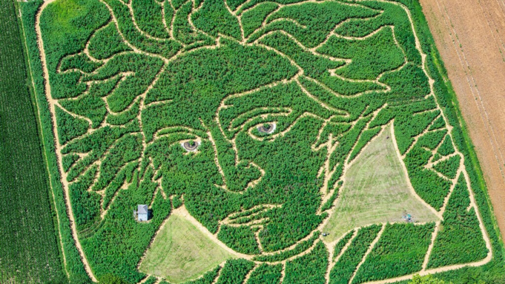 Ιταλία: «Ζωγράφισε» με τρακτέρ το πορτρέτο του Μπετόβεν (Video) - Media