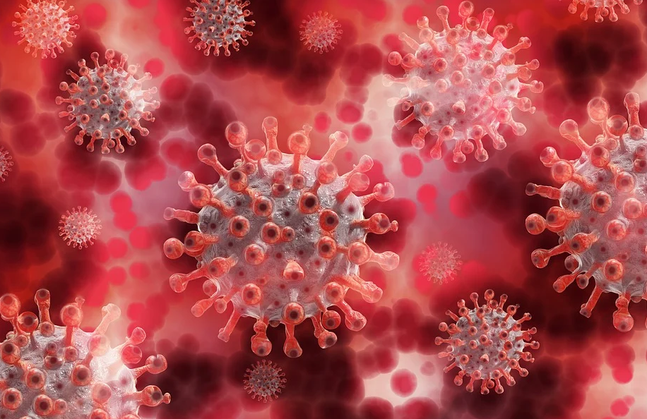 «Έρχονται κι άλλοι φονικοί ιοί», προειδοποιεί ο γιατρός που ανακάλυψε τον Έμπολα  - Media