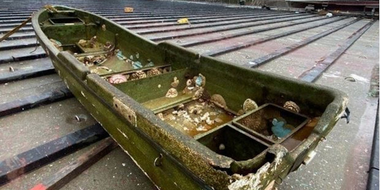 Ιαπωνία: Εντοπίστηκε ανέπαφη μικρή ξύλινη ψαρόβαρκα που είχε χαθεί σε τσουνάμι πριν από 10 χρόνια (Video)   - Media