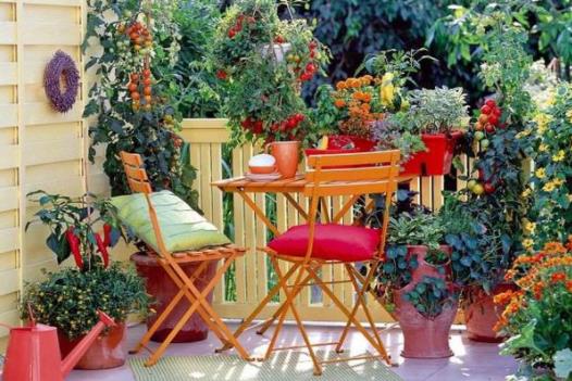 Δεν έχετε φυτά στο μπαλκόνι σας; Δείτε γιατί πρέπει να αποκτήσετε σύντομα!  - Media