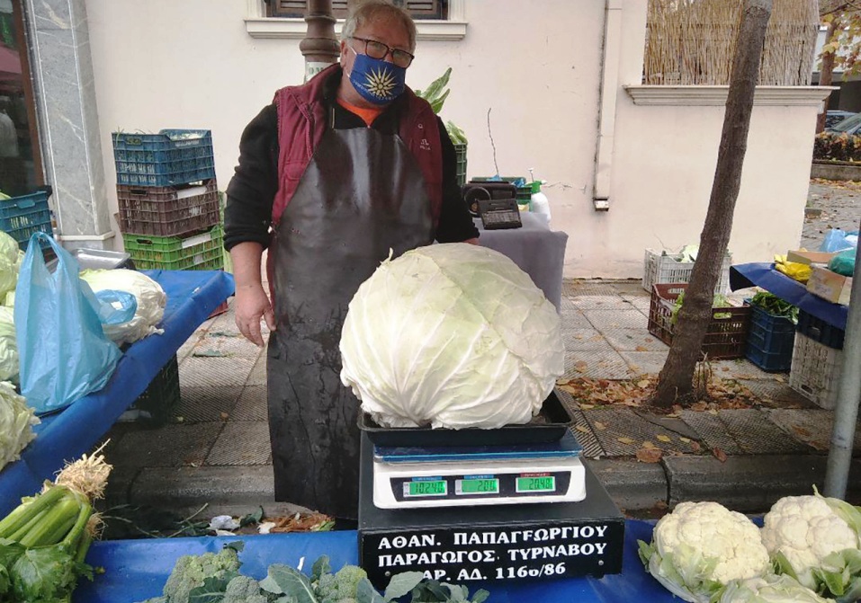 Λάρισα: Λάχανο-γίγας 10 κιλών μαγνήτισε τα βλέμματα σε λαϊκή αγορά (Photos) - Media
