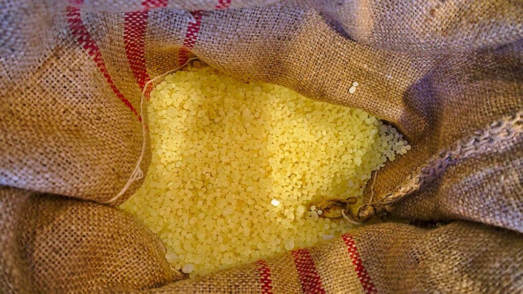 Το τρόφιμο – φάρμακο που θωρακίζει το πεπτικό και καταπολεμά τα παθογόνα μικρόβια - Media