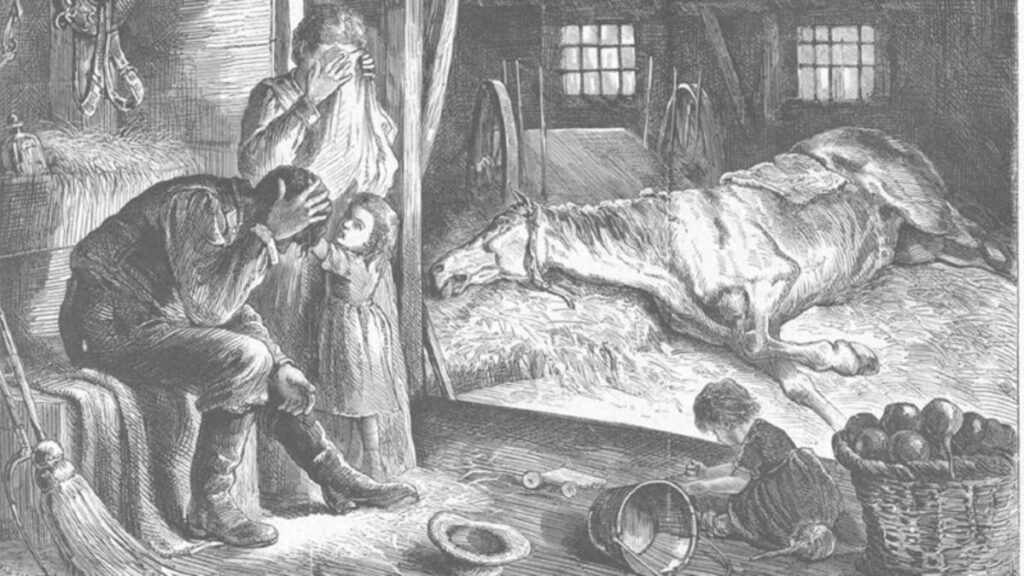 Πώς μια επιδημία γρίπης στα άλογα γονάτισε την οικονομία της Αμερικής το 1872 - Media