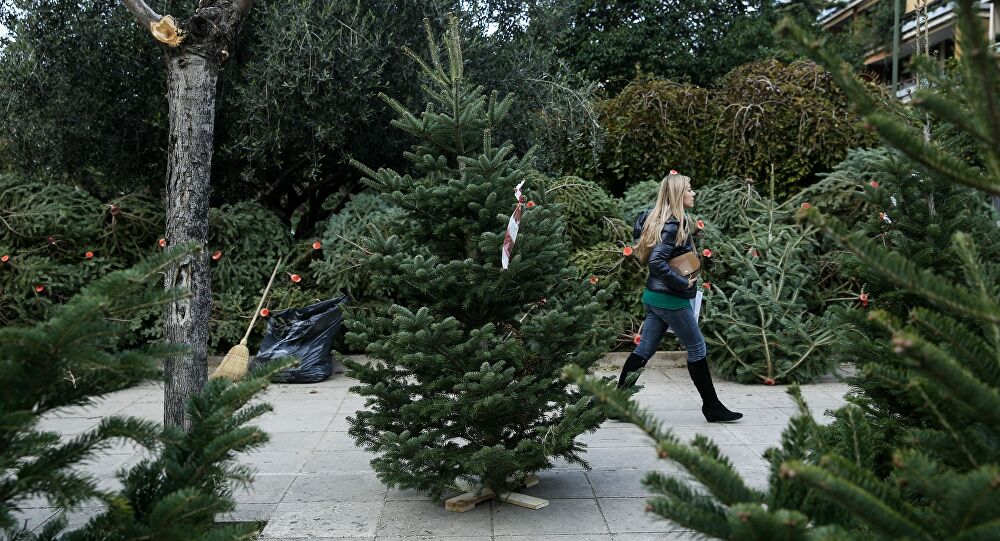 Πότε θα εμφανιστούν οι αγορές με τα έλατα σε Αθήνα και Θεσσαλονίκη – Πόσο θα στοιχίζει ένα έλατο - Media