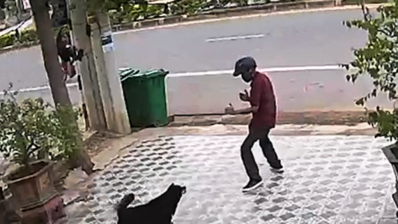 Μεθυσμένος «ψαρώνει» σκυλιά με ψευτοκινήσεις κουνγκ-φου και τα τρέπει σε φυγή (Video) - Media