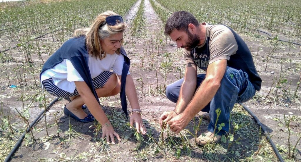 Προσωρινή σύνταξη 70% και για τους αγρότες - Media