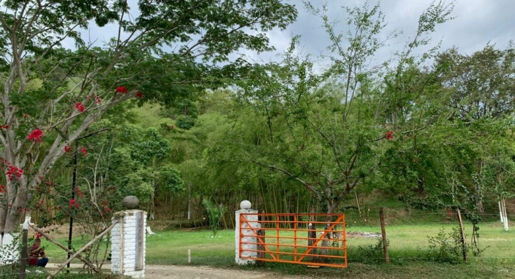 Κολομβία: Σφαγή με πέντε νεκρούς σε αγρόκτημα - Media