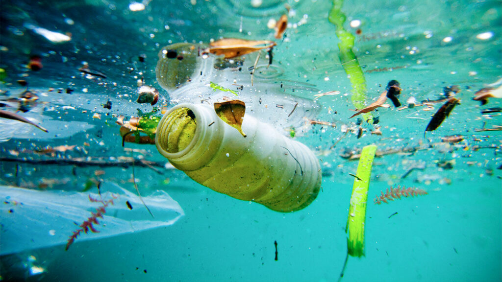 Περιβάλλον: Οι προκλήσεις για το 2021 – Από την κατάργηση των πλαστικών μέχρι τη διαχείριση απορριμμάτων (Photos/Video) - Media