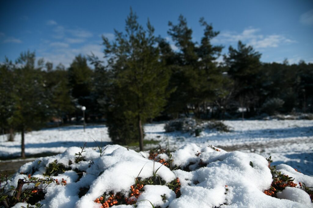 Καιρός: Χιόνια και στην Αττική – Πού θα χτυπήσει η κακοκαιρία - Media