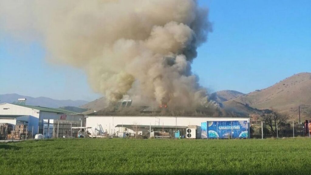 Βιομηχανία Υφαντής: Κέρδιζε στα αλλαντικά, αλλά «κάηκε» στη φέτα - Media