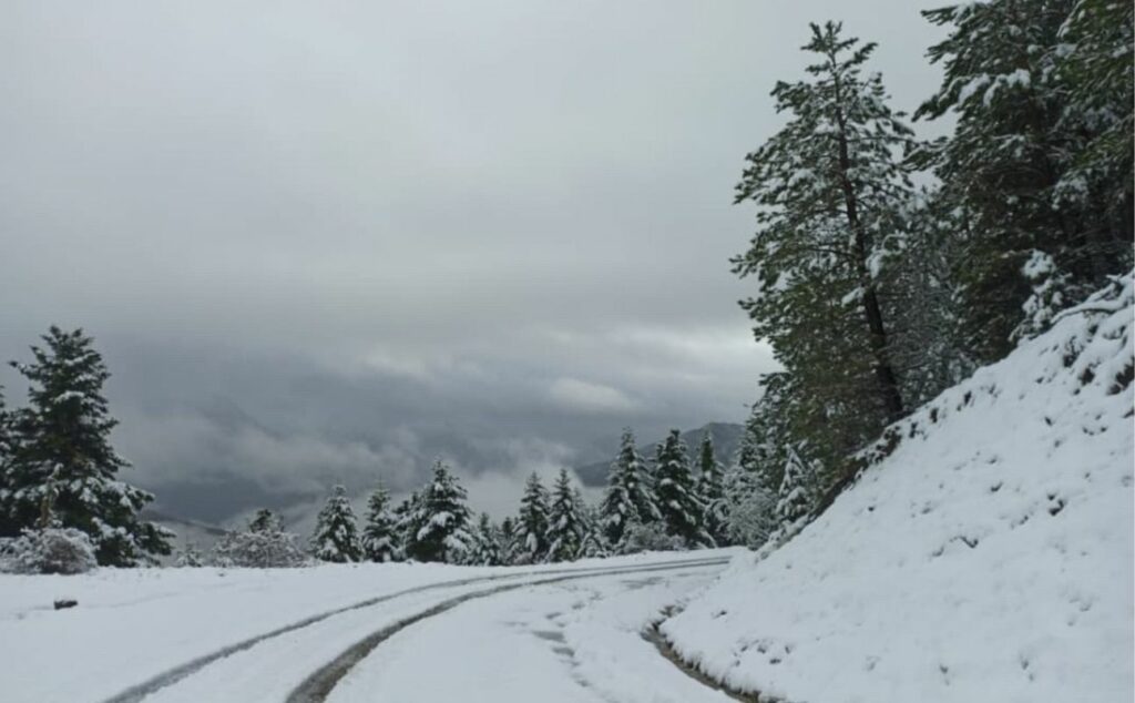 Συναγερμός για τη «Μήδεια»: Σε κλοιό πολικού ψύχους η χώρα - Καμπανάκι Χρυσοχοΐδη - Media
