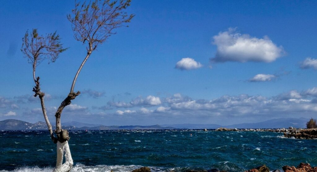 Καιρός: Ηλιοφάνεια και άνοδος της θερμοκρασίας - Πού θα βρέξει (Χάρτες) - Media