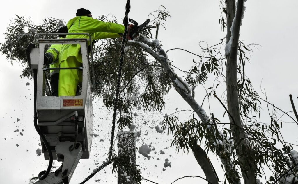 Απολογισμός «Μήδειας»: Στο σκοτάδι 100.000 νοικοκυριά, έπεσαν 1.500 δέντρα στην Αττική  - Media