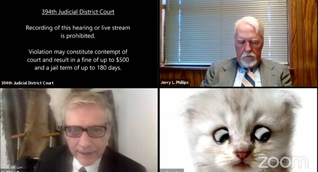 Γκάφα από δικηγόρο στο Zoom: «Κύριε πρόεδρε δεν είμαι γάτα» (Video) - Media