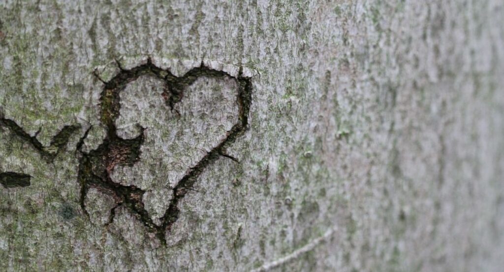 Κορωνοϊός: Μικρότερος κίνδυνος σοβαρής λοίμωξης για άτομα με υγιή «καλή» χοληστερίνη - Media