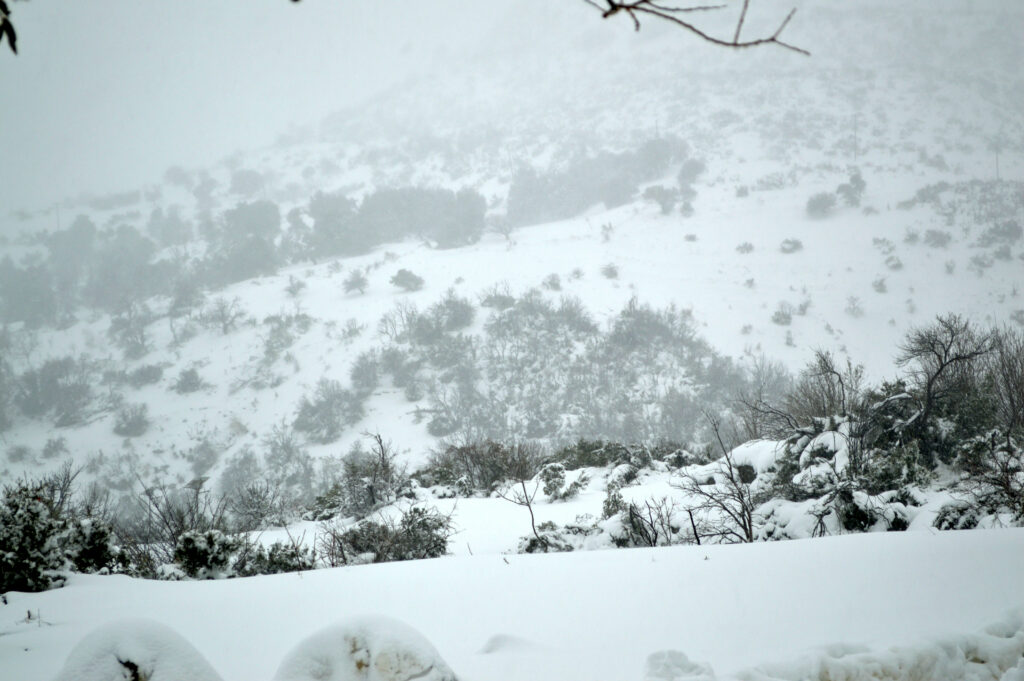 Κακοκαιρία «Μήδεια»: Χωριά στην Εύβοια χωρίς ρεύμα και νερό από την Κυριακή - Media