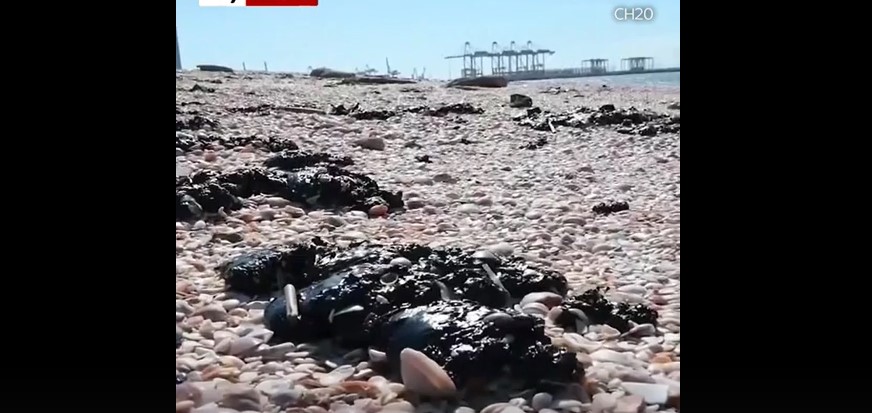 Οικολογική καταστροφή στο Ισραήλ: «Μαύρισαν» οι ακτές λόγω πετρελαιοκηλίδας - Media