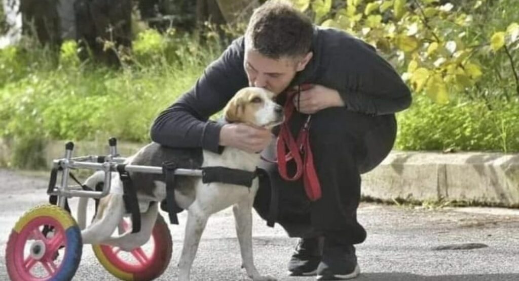 Χατζηγιάννης - Μακρυπούλια: Ένα αμαξίδιο και μια δεύτερη ευκαιρία στη ζωή για τη σκυλίτσα τους (Photo) - Media