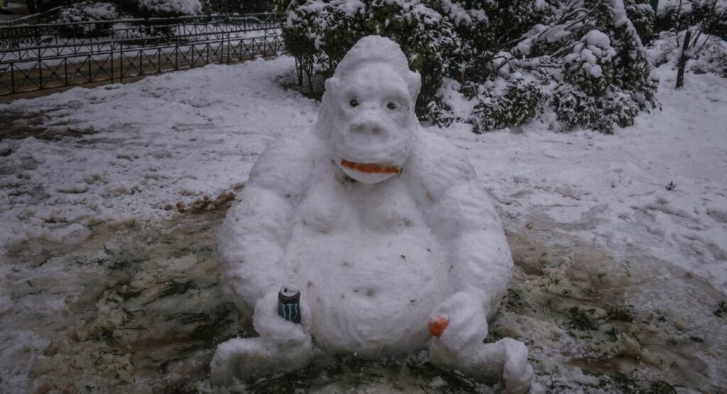 Κακοκαιρία «Μήδεια»: Οι πιο εντυπωσιακοί χιονάνθρωποι της χθεσινής ημέρας (Photos) - Media