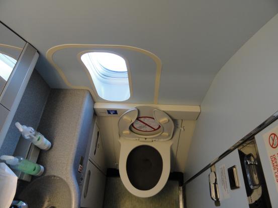 airplane-wc.jpg