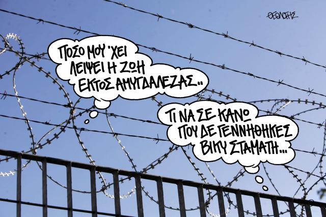 amugdaleza_8_4_.jpg