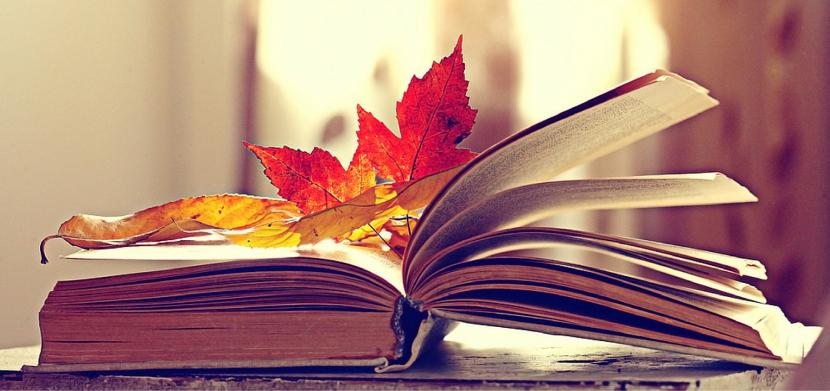 fall-books-to-get-you-in-the-mood-for-autumn.jpg