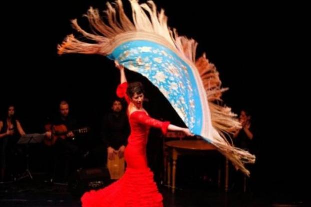 flamenco_852629570.jpg