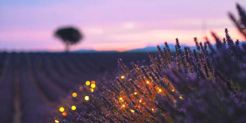 french-provence-bath-salts-aromatherapy.jpg