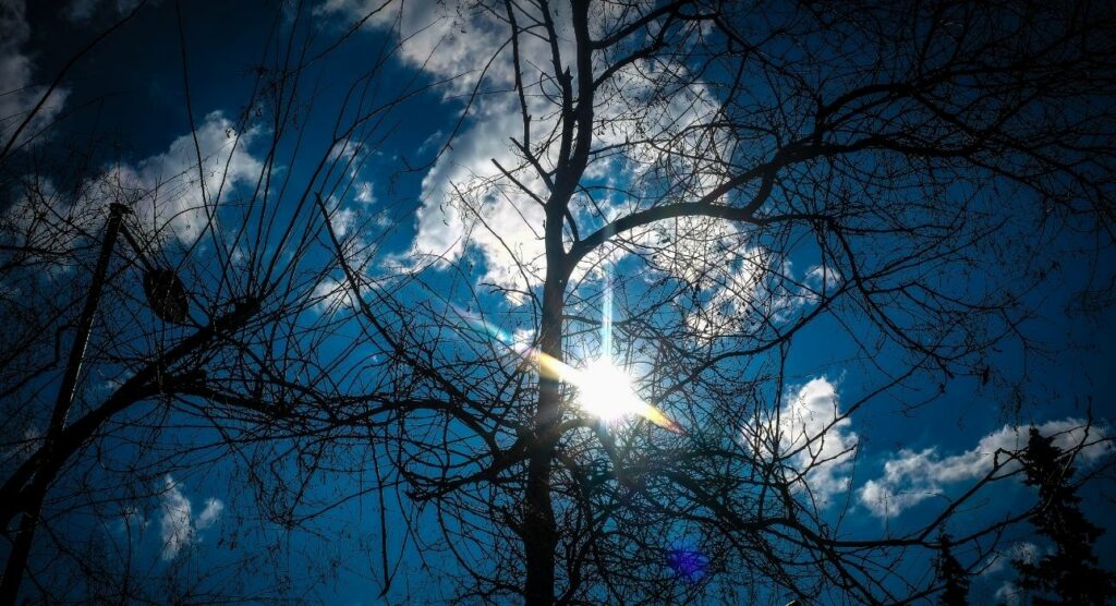 Καιρός: Ηλιοφάνεια και υψηλές θερμοκρασίες - Βροχές το Σαββατοκύριακο - Media